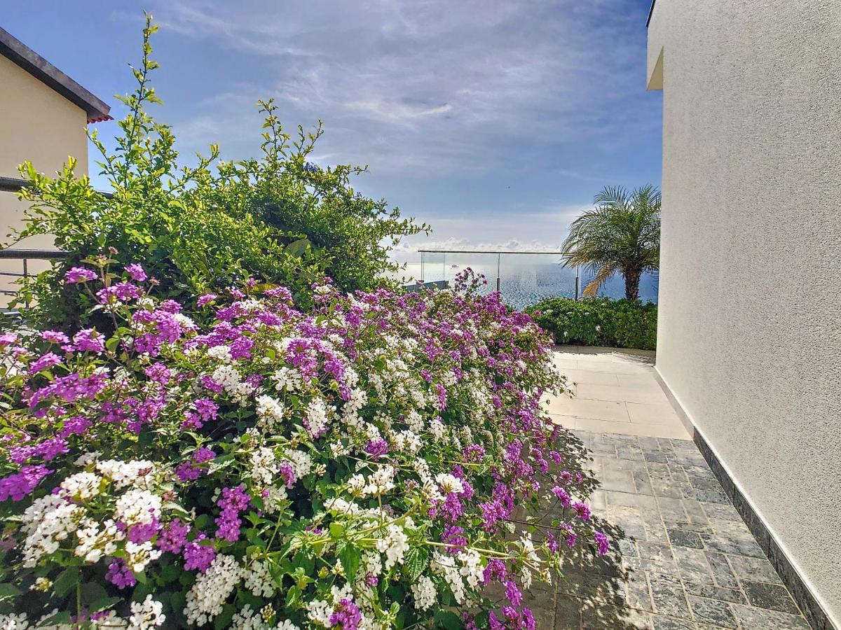 Francelho 2 Aparment By Mhm Daire Ribeira Brava Dış mekan fotoğraf